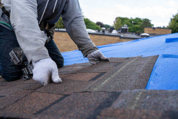 Best Roof Moss and Algae Removal  in Kahoka, MO